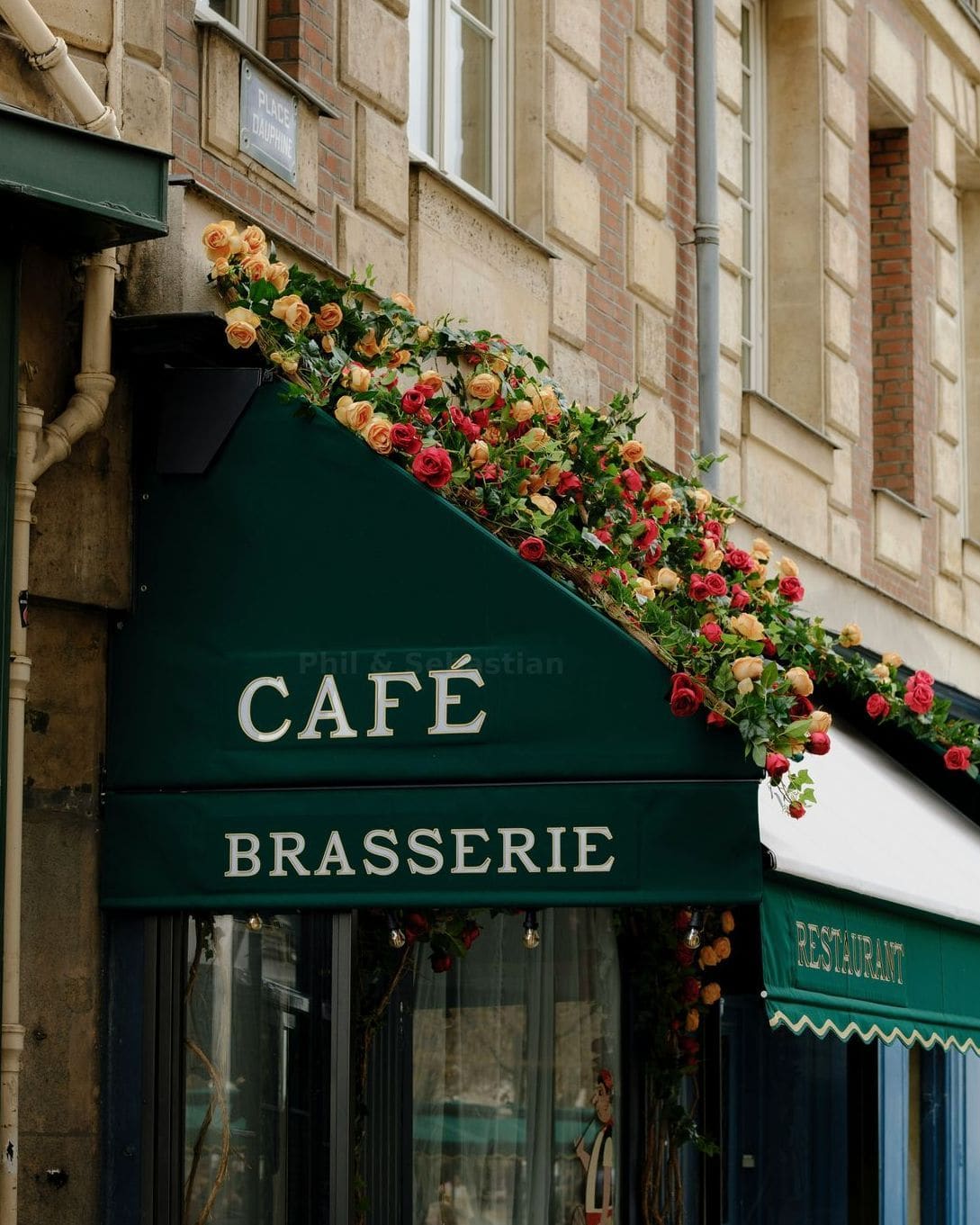 From Bean to Cup: Why Freshness Matters in Every Brew